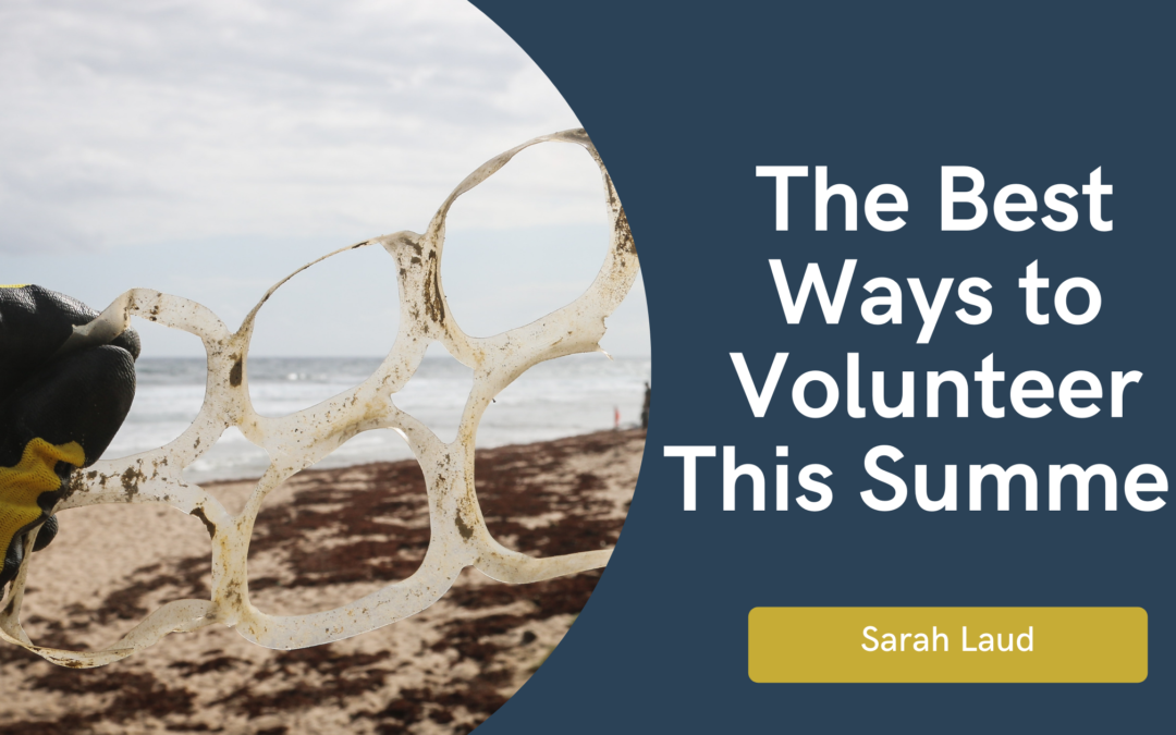 The Best Ways to Volunteer This Summer